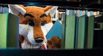 狐狸弗兰基在图书馆书架间张望的画面.